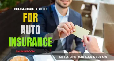 Utopia or Unnecessary: USAA's Late Fee Policy for Auto Insurance