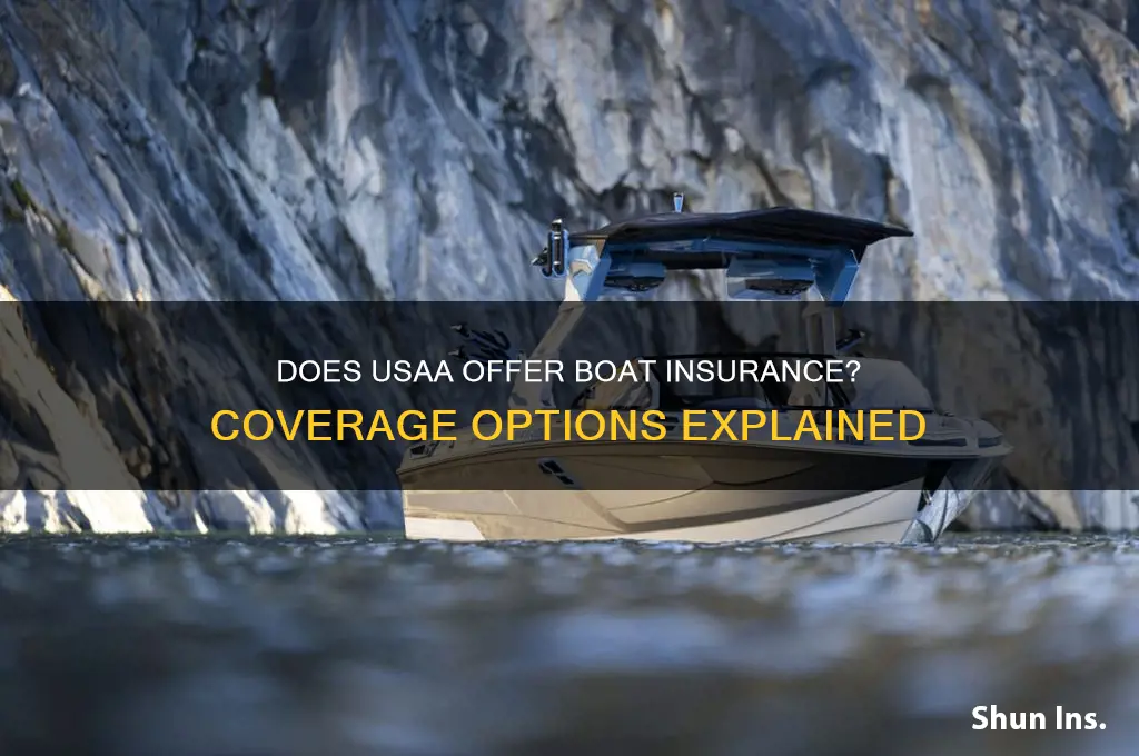 does usaa do boat insurance
