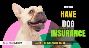 Does USAA Offer Dog Insurance? Exploring Pet Coverage Options