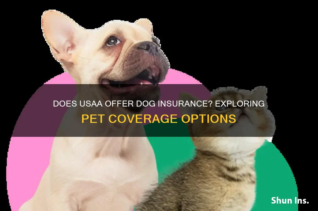 does usaa have dog insurance
