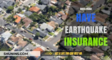 Does USAA Offer Earthquake Insurance? Coverage Options Explained