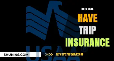 Does USAA Offer Trip Insurance? Coverage, Benefits, and How to Get It