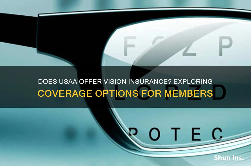 does usaa have vision insurance