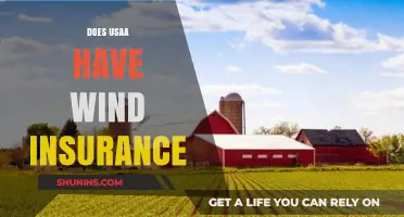 Does USAA Offer Wind Insurance? Coverage Details and Policy Insights