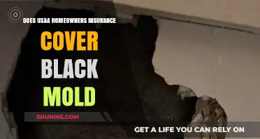 Usaa Home Insurance: Black Mold Covered?