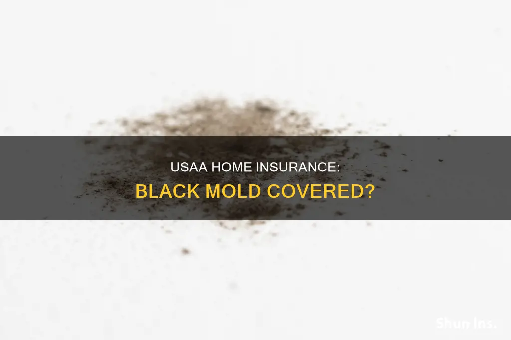 does usaa homeowners insurance cover black mold