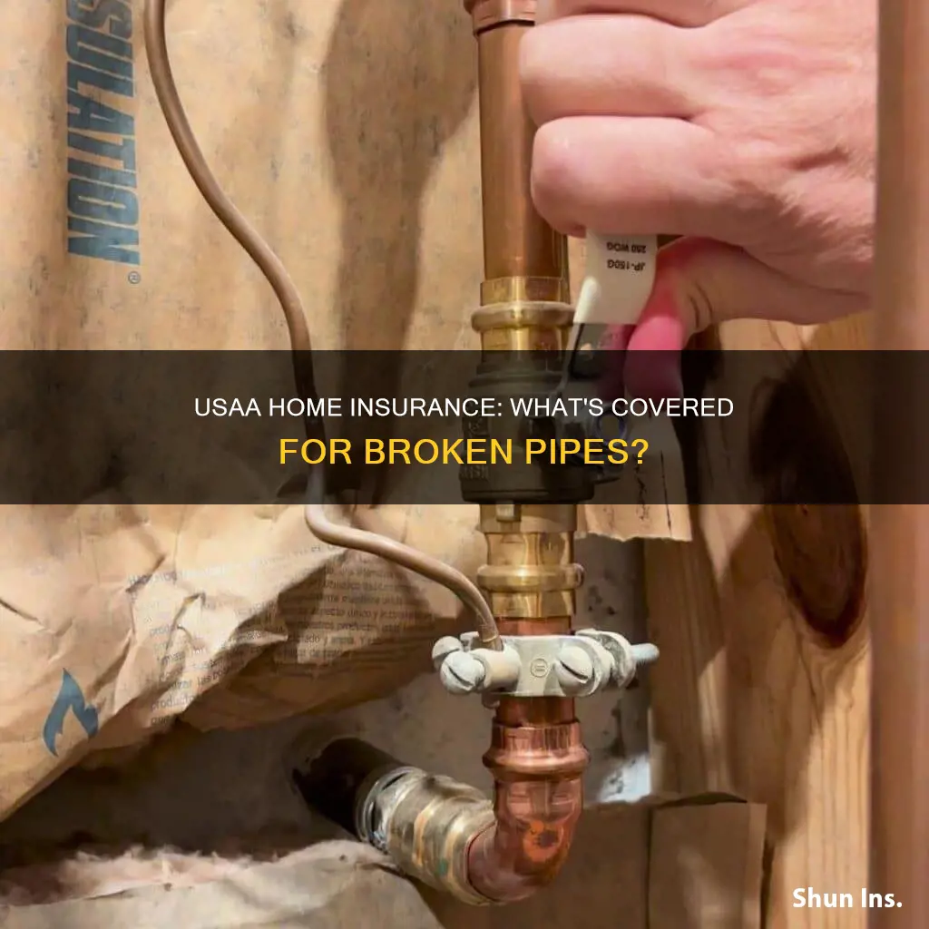 does usaa homeowners insurance cover broken pipes