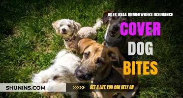 Usaa Home Insurance: Dog Bites Covered?