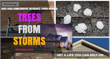 Usaa Home Insurance: Storm-Downed Trees and Your Coverage