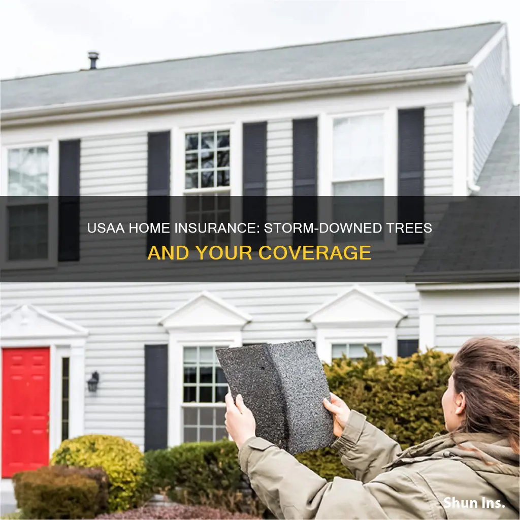 does usaa homeowners insurance cover downed trees from storms