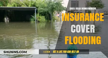 Usaa Homeowners Insurance: Flood Coverage Included?