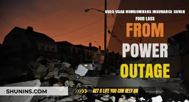 Usaa Home Insurance: Food Loss Coverage During Power Outage?