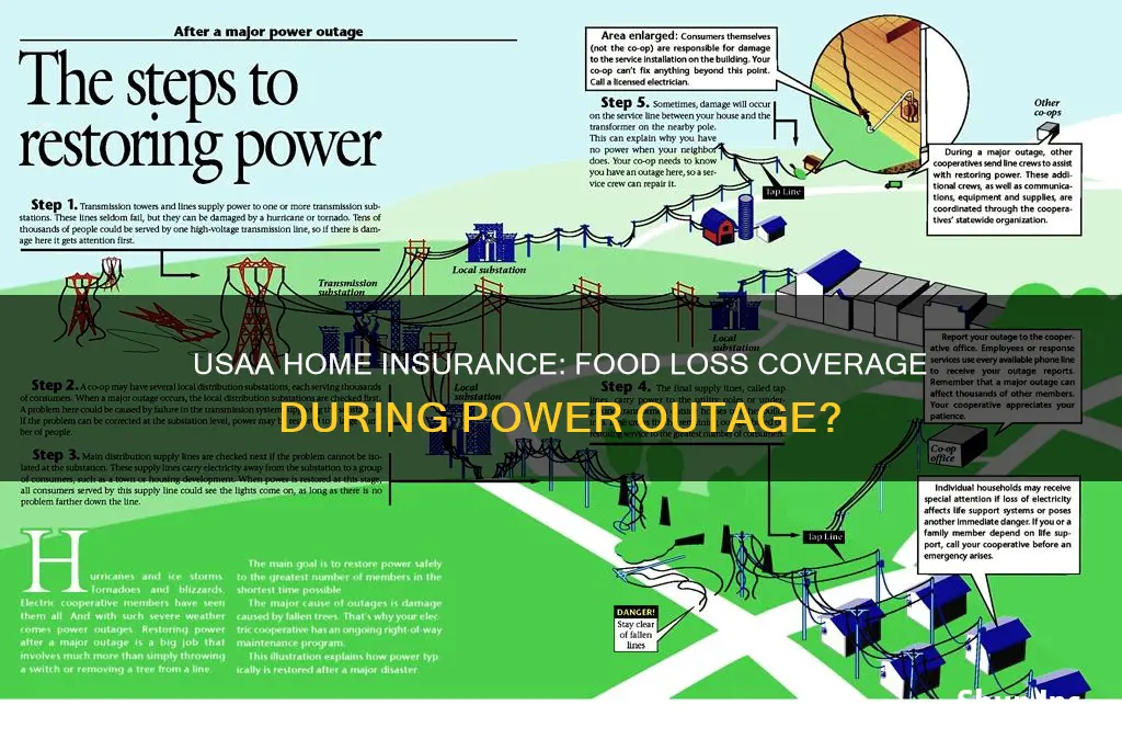 does usaa homeowners insurance cover food loss from power outage