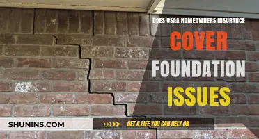 Usaa Home Insurance: Foundation Issues Covered?