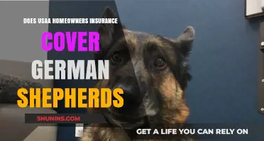Usaa Home Insurance: German Shepherds Covered?