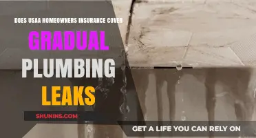 Usaa Home Insurance: Does It Cover Plumbing Leaks?