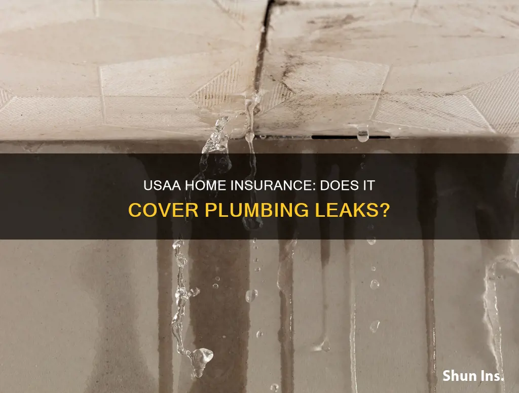 does usaa homeowners insurance cover gradual plumbing leaks