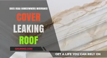 Usaa Home Insurance: Leaking Roof Covered?