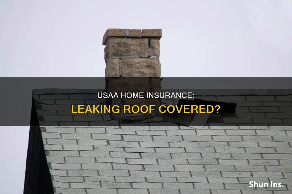 does usaa homeowners insurance cover leaking roof