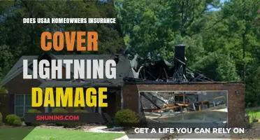 Usaa Home Insurance: Lightning Damage Covered?