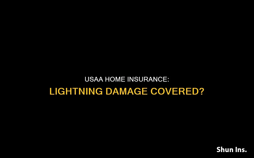 does usaa homeowners insurance cover lightning damage