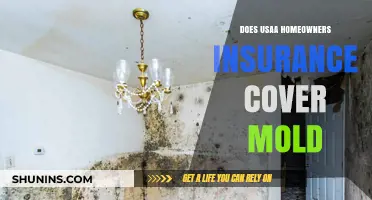 Usaa Homeowners Insurance: Does It Cover Mold?