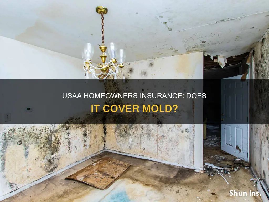 does usaa homeowners insurance cover mold