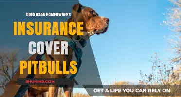 Usaa Home Insurance: Are Pitbulls Covered?