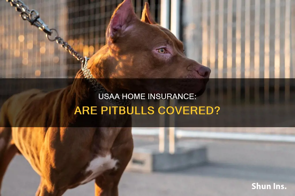 does usaa homeowners insurance cover pitbulls