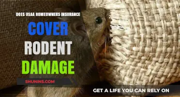 Usaa Home Insurance: Rodent Damage Covered?