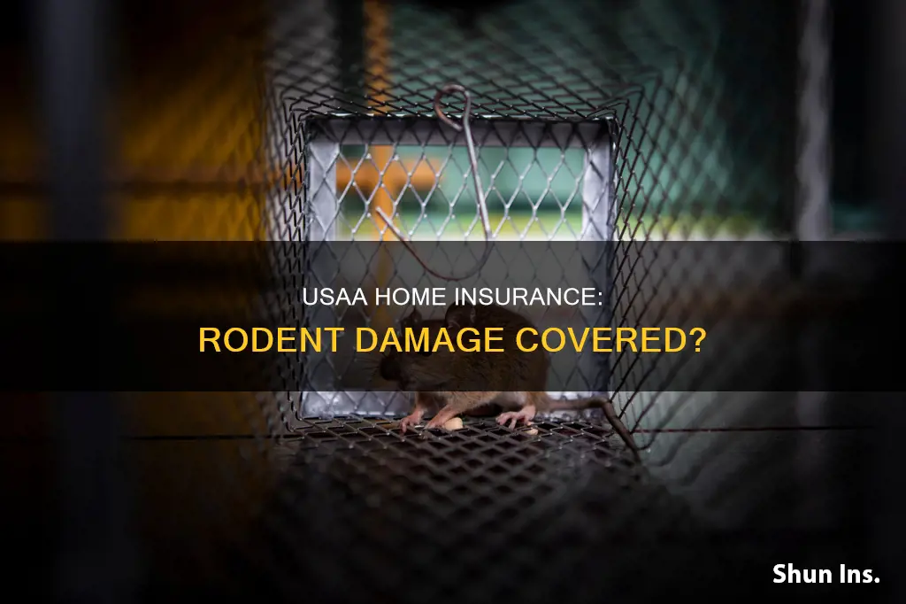 does usaa homeowners insurance cover rodent damage