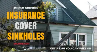 Usaa Homeowners Insurance: Are You Covered for Sinkholes?