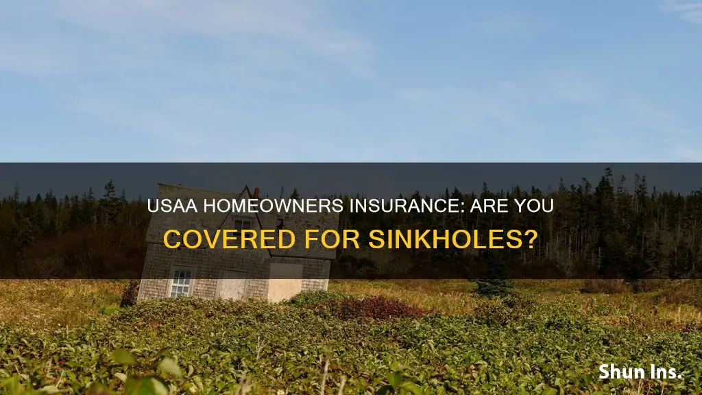 does usaa homeowners insurance cover sinkholes
