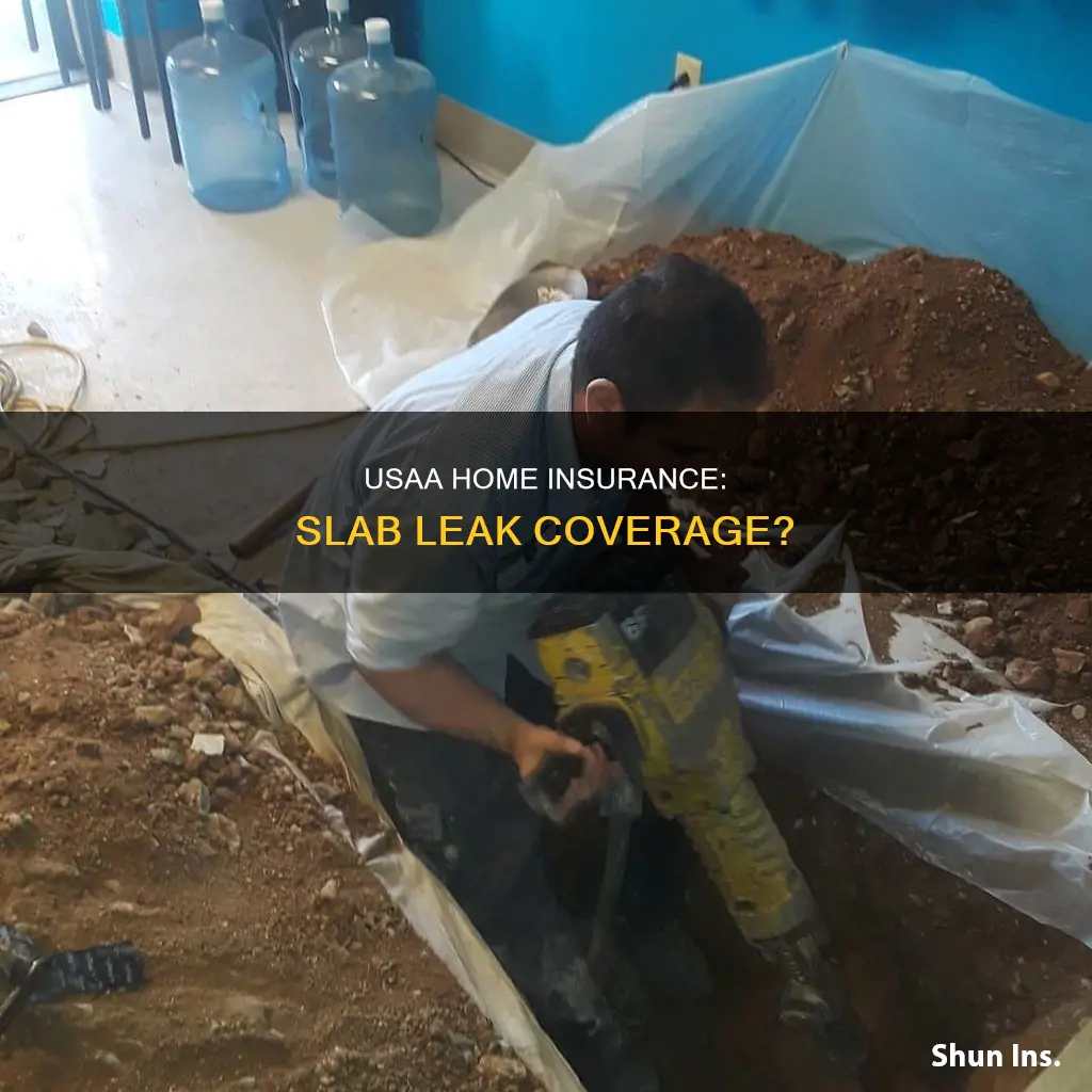 does usaa homeowners insurance cover slab leaks
