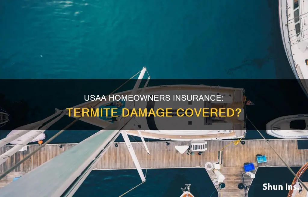 does usaa homeowners insurance cover termites