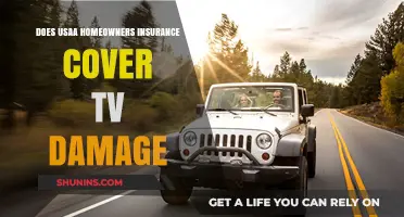 Usaa Home Insurance: Is Your TV Covered?