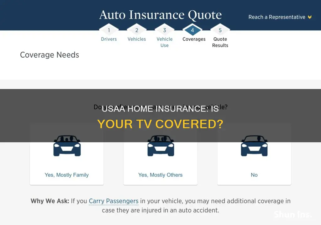 does usaa homeowners insurance cover tv damage