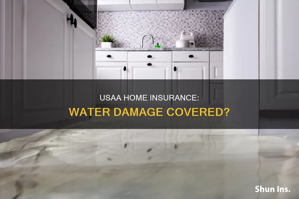 does usaa homeowners insurance cover water damage around house
