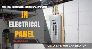 Usaa Home Insurance: Water Damage and Electrical Panels