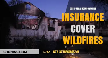 Usaa Homeowners Insurance: Wildfire Coverage Explained