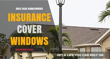 Usaa Home Insurance: Are Your Windows Covered?