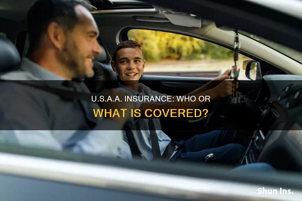 does usaa insurance follow the vehicle or driver