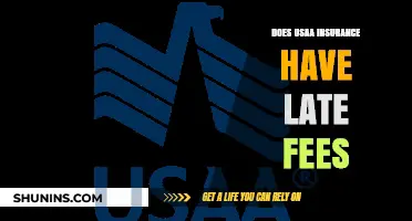 Does USAA Insurance Charge Late Fees? What Policyholders Need to Know