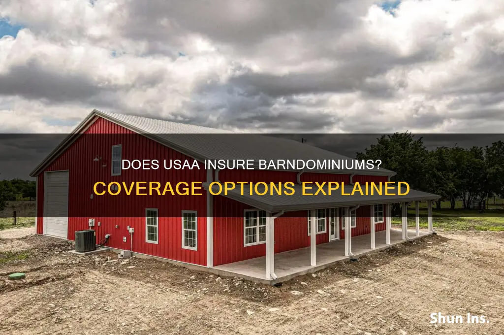 does usaa insure barndominiums