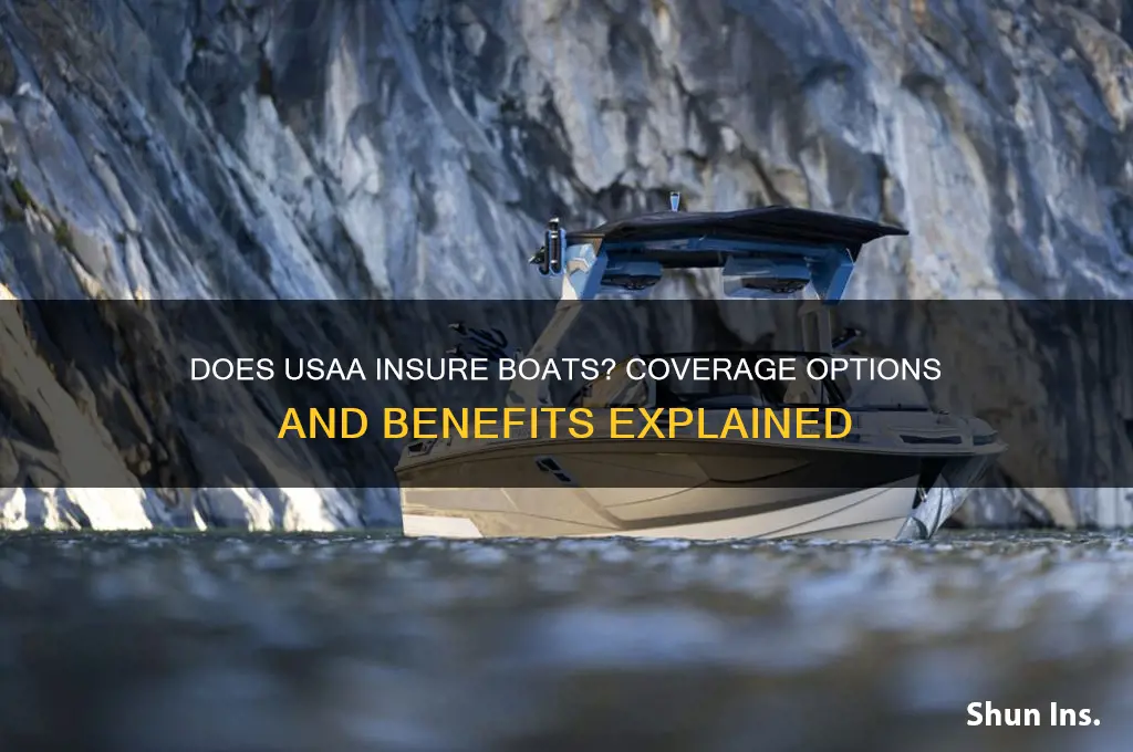 does usaa insure boats