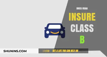 Does USAA Insure Class B Motorhomes? Coverage Explained