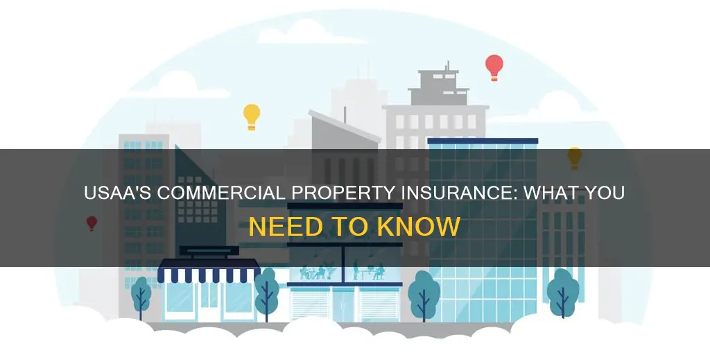 does usaa insure commercial property
