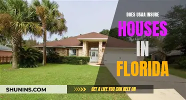 Usaa: Insuring Florida Homes