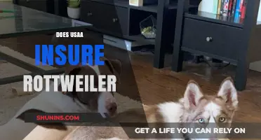 Does USAA Insure Rottweilers? Exploring Pet Coverage Options