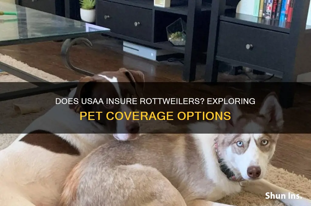 does usaa insure rottweiler